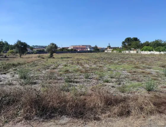 Terreno no Casal Galego, Marinha Grande - Image 6