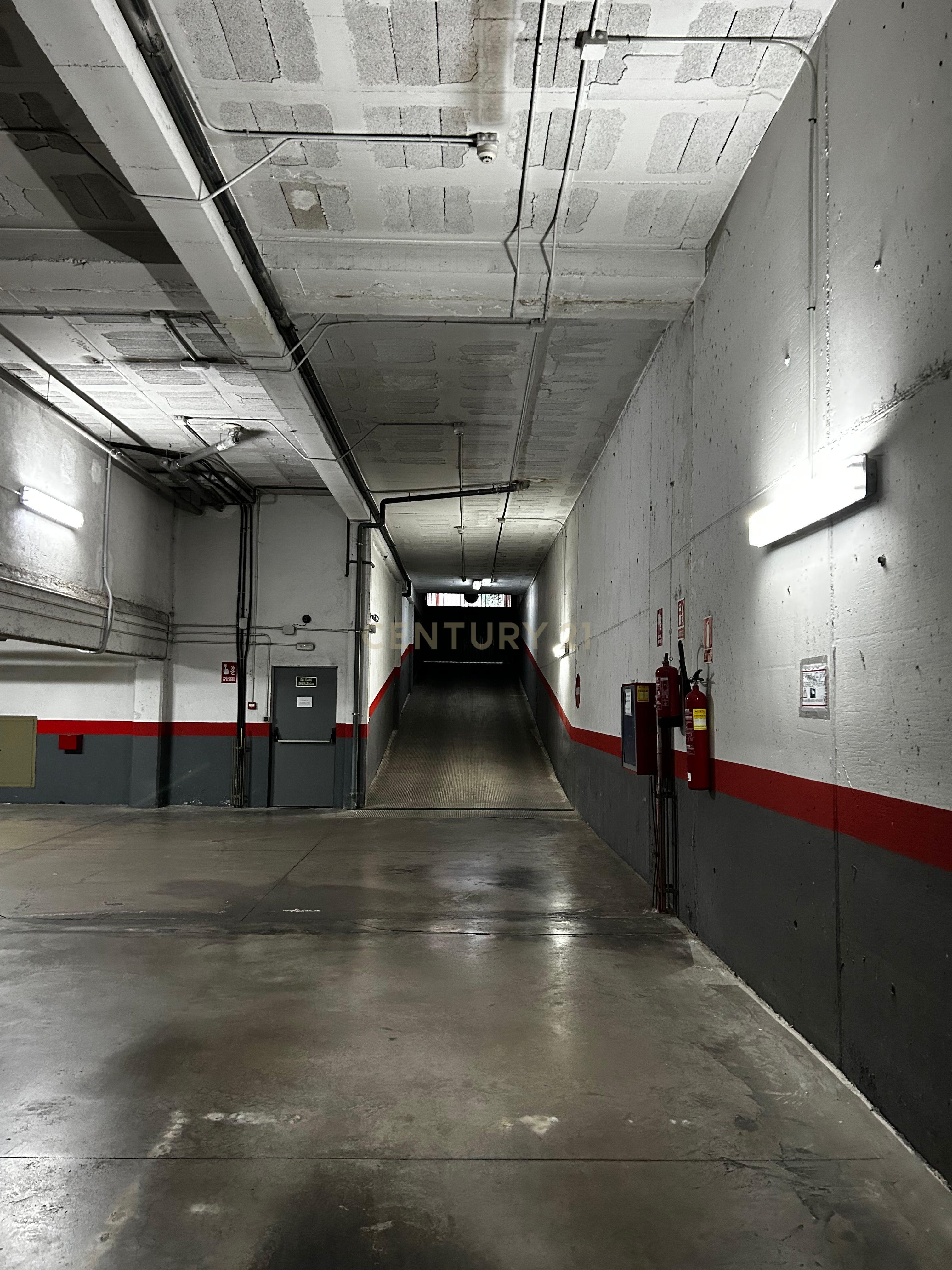 - Image 7