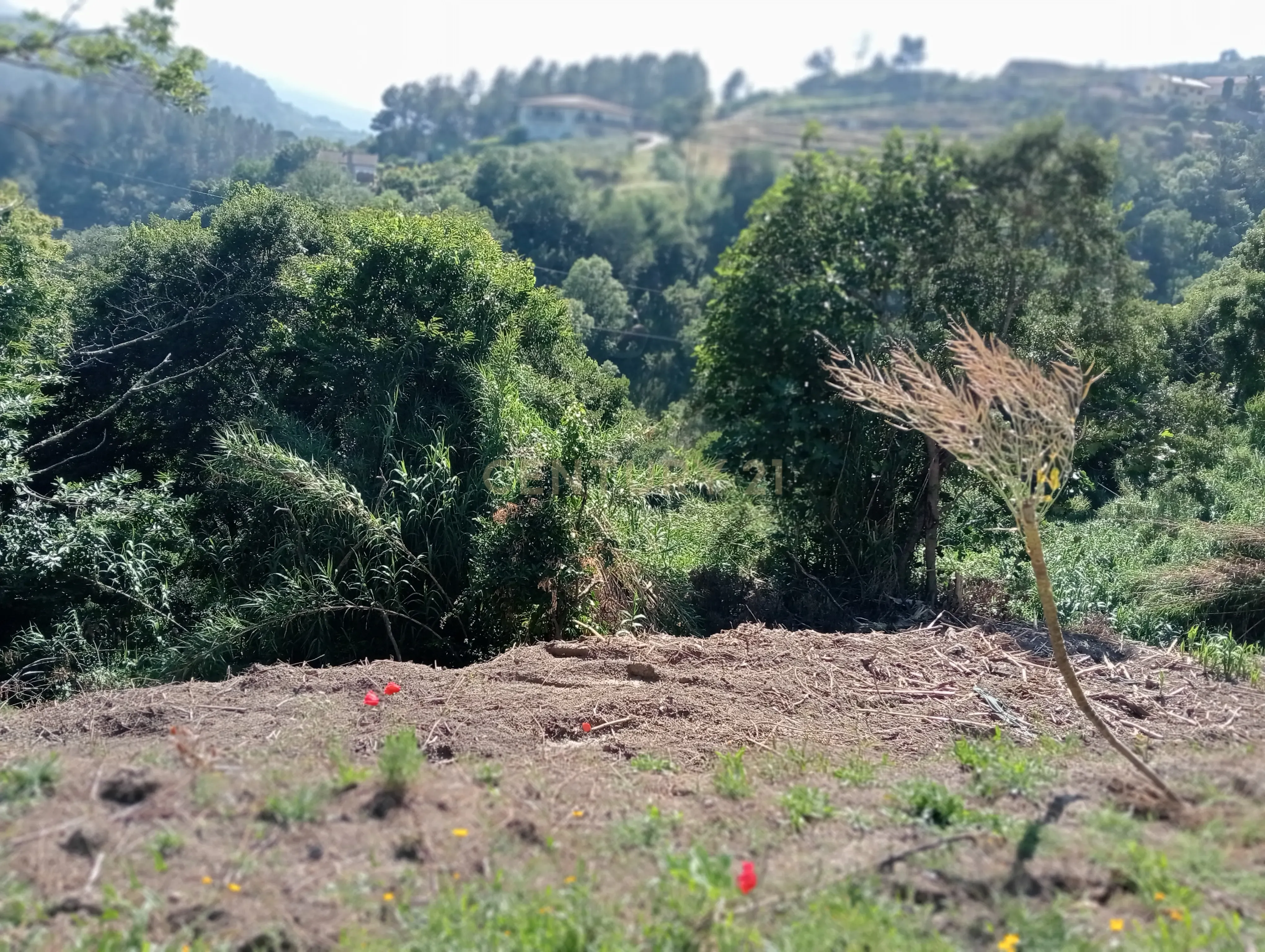 Moradia T2 à venda em Frende, Baião — foto 23