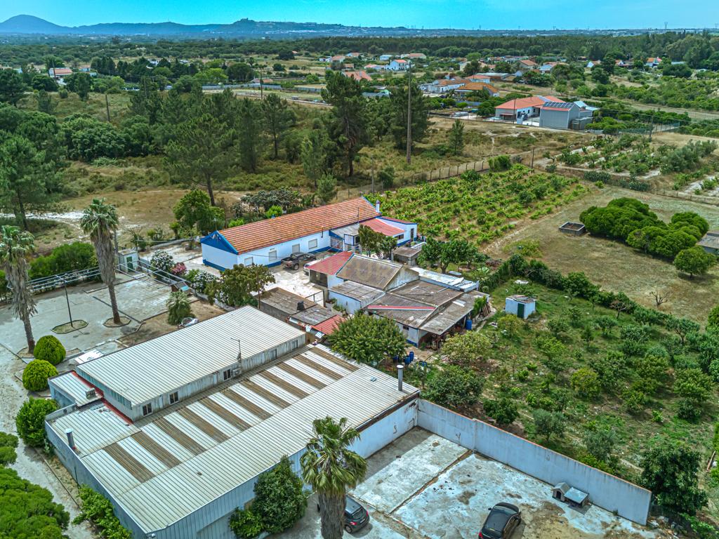 Encantadora Quinta em Palmela com 5200m2 e 196m2 privativos - Image 8