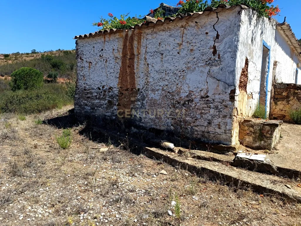 Terreno Misto com 3,66HA - Perna Seca - S. B. Messines - Image 4