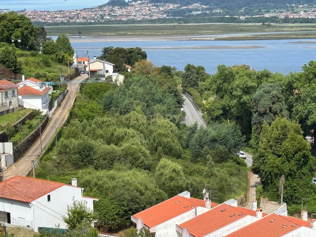Terreno com 6000m2 em Seixas, Caminha - Junto ao Rio Minho - Image 8