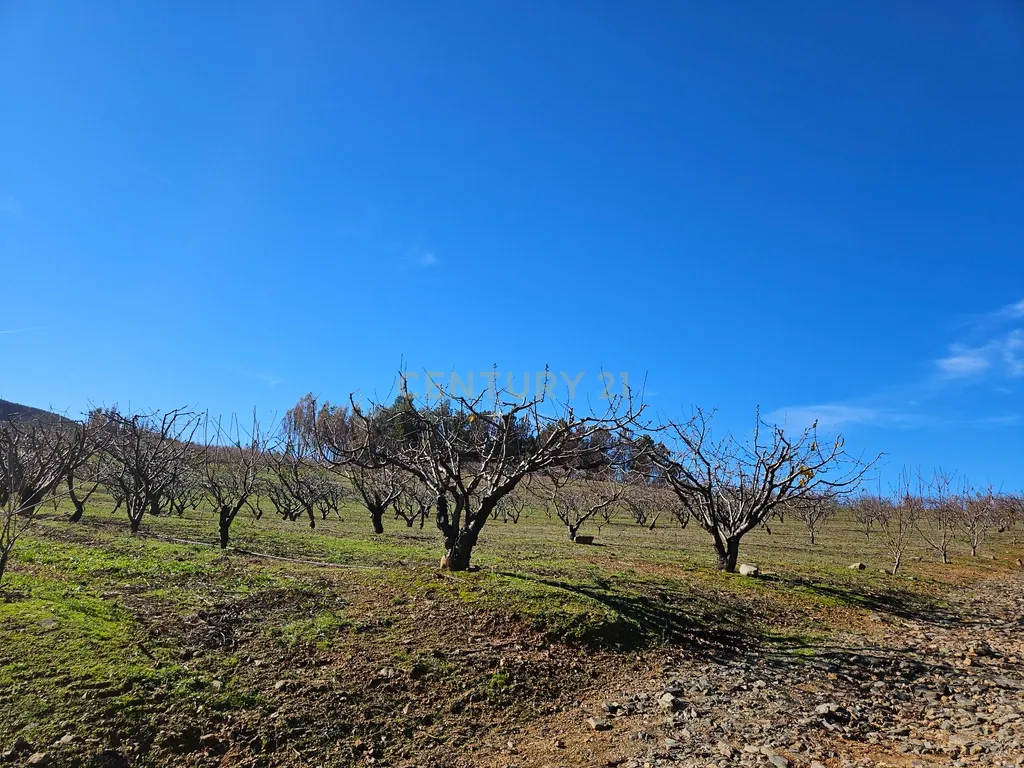 Quinta de Excelência Agrícola na Região Premium do Fundão: 32 ha de Alta Produtividade - Image 23