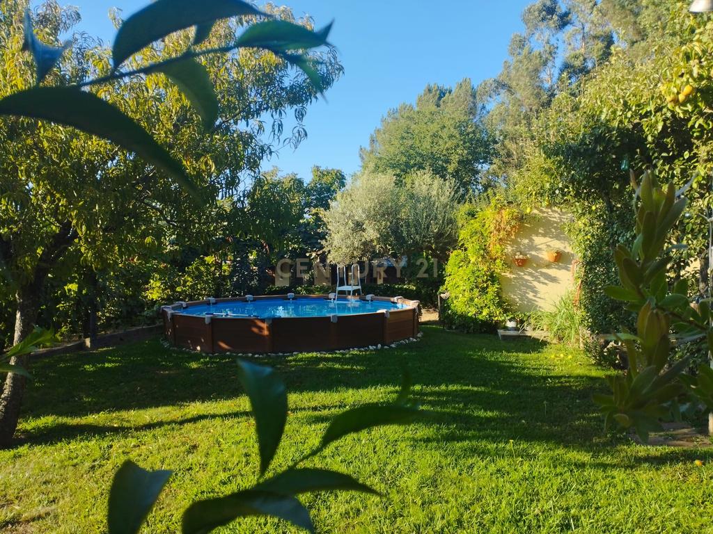 Grande moradia térrea, em Santo Tirso com área de lazer, anexo, jardim e terreno agrícola, Porto - Image 5
