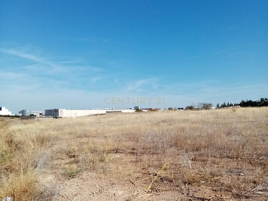undefined - Image 5