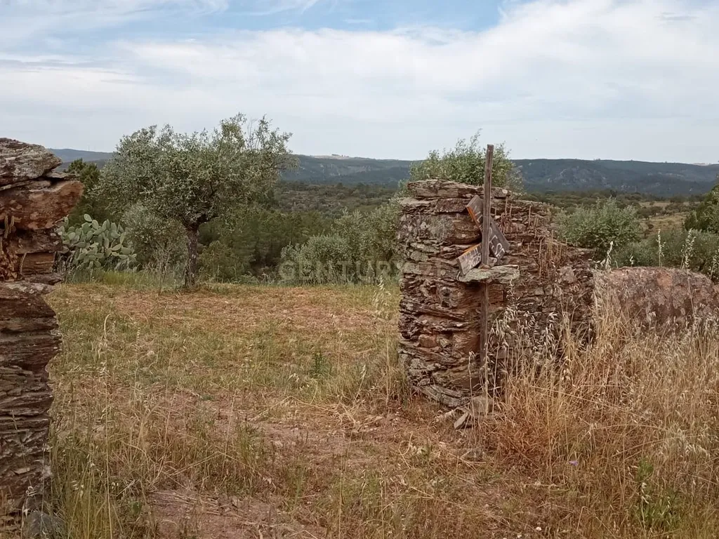 Terreno 8500m2, Lentiscais, Castelo Branco - Image 13