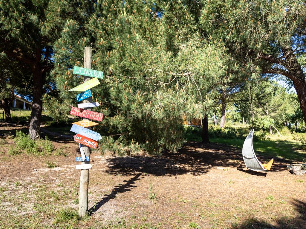 Quinta a 1 hora de Lisboa - Cortiçadas de Lavre - Próximo novo Aeroporto!!! - Image 48