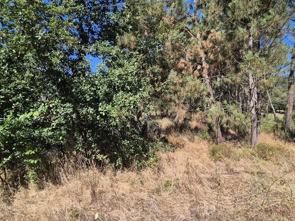 Terreno para Construção em Pombal, Leiria - Oportunidade Única! - Image 24