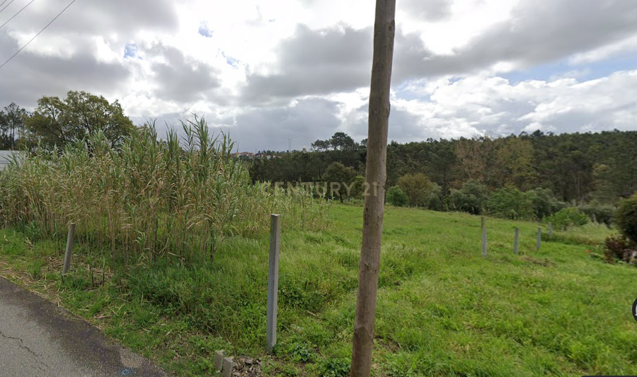 Terreno com 3.083 m² e viabilidade para construção de 2 moradias - Image 6