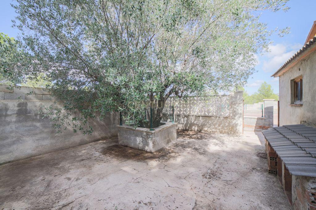 undefined - Image 42