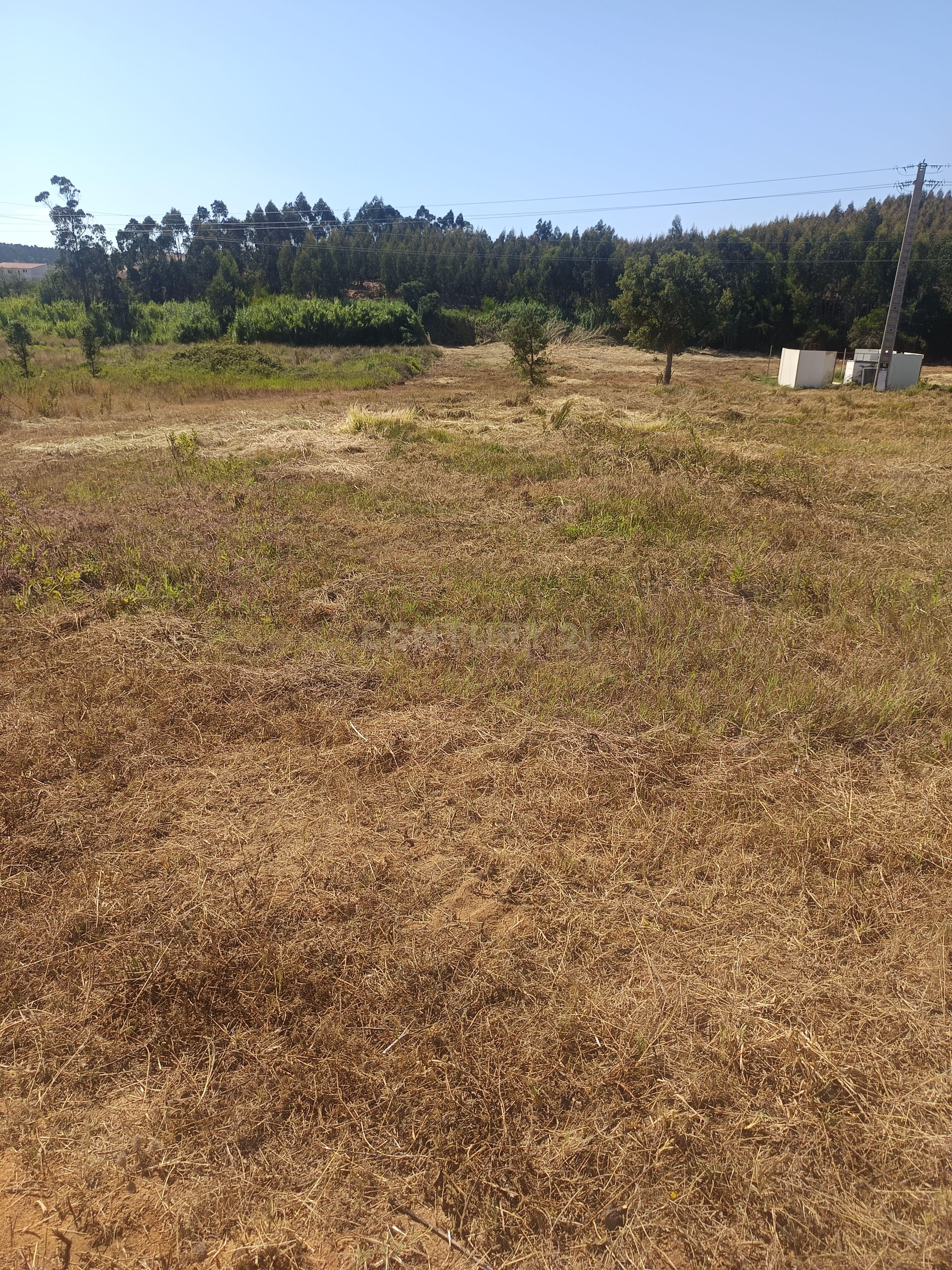 Fotografia 3 de Terreno de 4.520 m2 em Monte Redondo -Torres Vedras