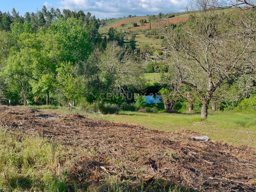 Terreno de 4.500 m² em Meixedo, Bragança — uma oportunidade para um projeto de ecoturismo e turismo de natureza - Image 1