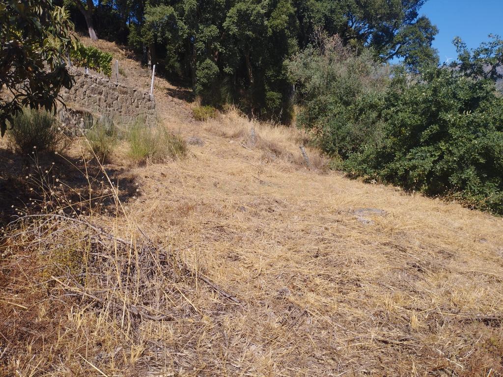 Moradia em ruina repleta de belas histórias, para reconstruir, no coração do Douro em Frende, Baião - Image 58