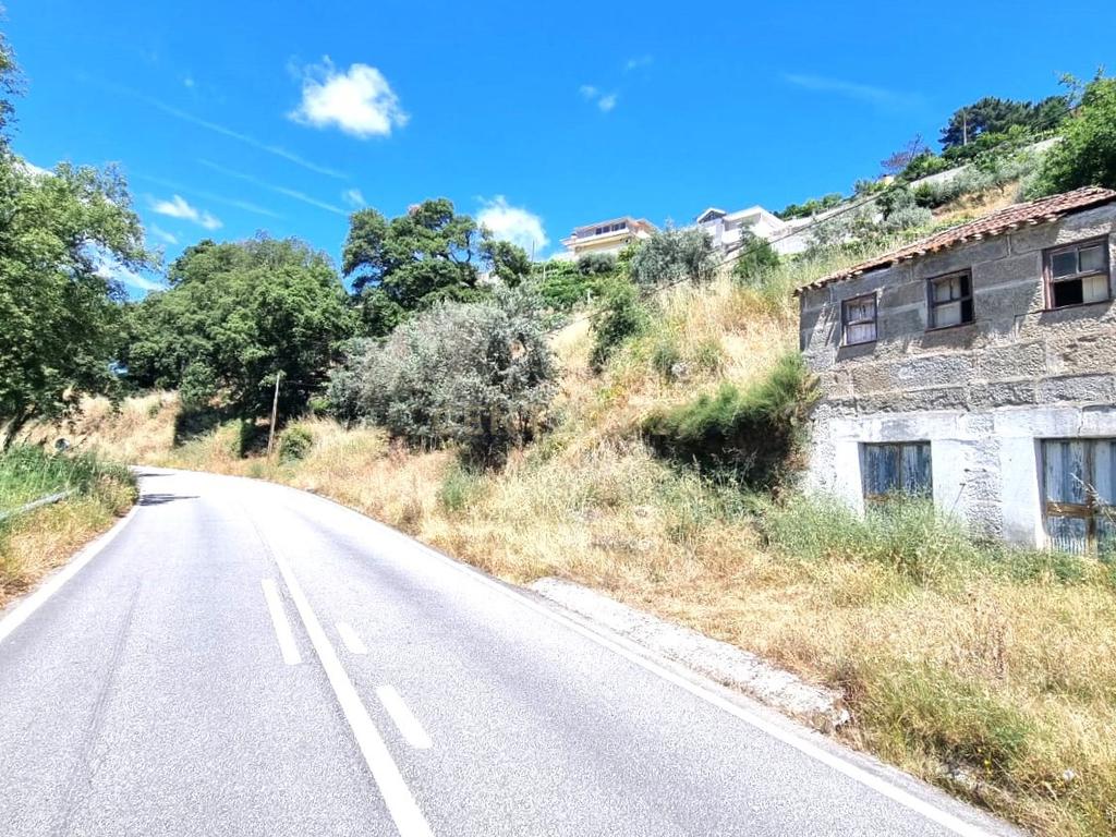 Moradia em ruina repleta de belas histórias, para reconstruir, no coração do Douro em Frende, Baião - Image 19
