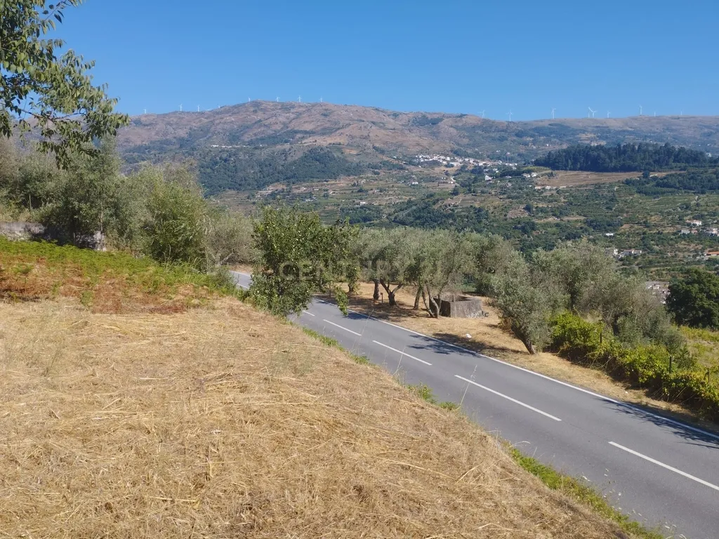 Moradia em ruina repleta de belas histórias, para reconstruir, no coração do Douro em Frende, Baião - Image 59