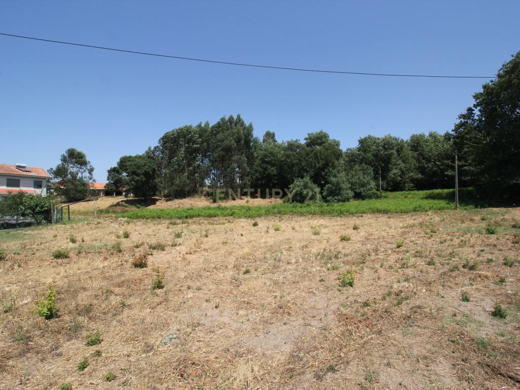Terreno em Galegos - Penafiel - Image 15