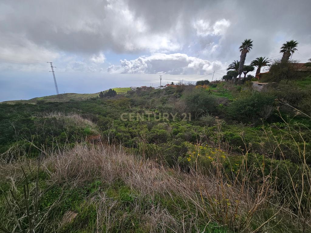 undefined - Image 2