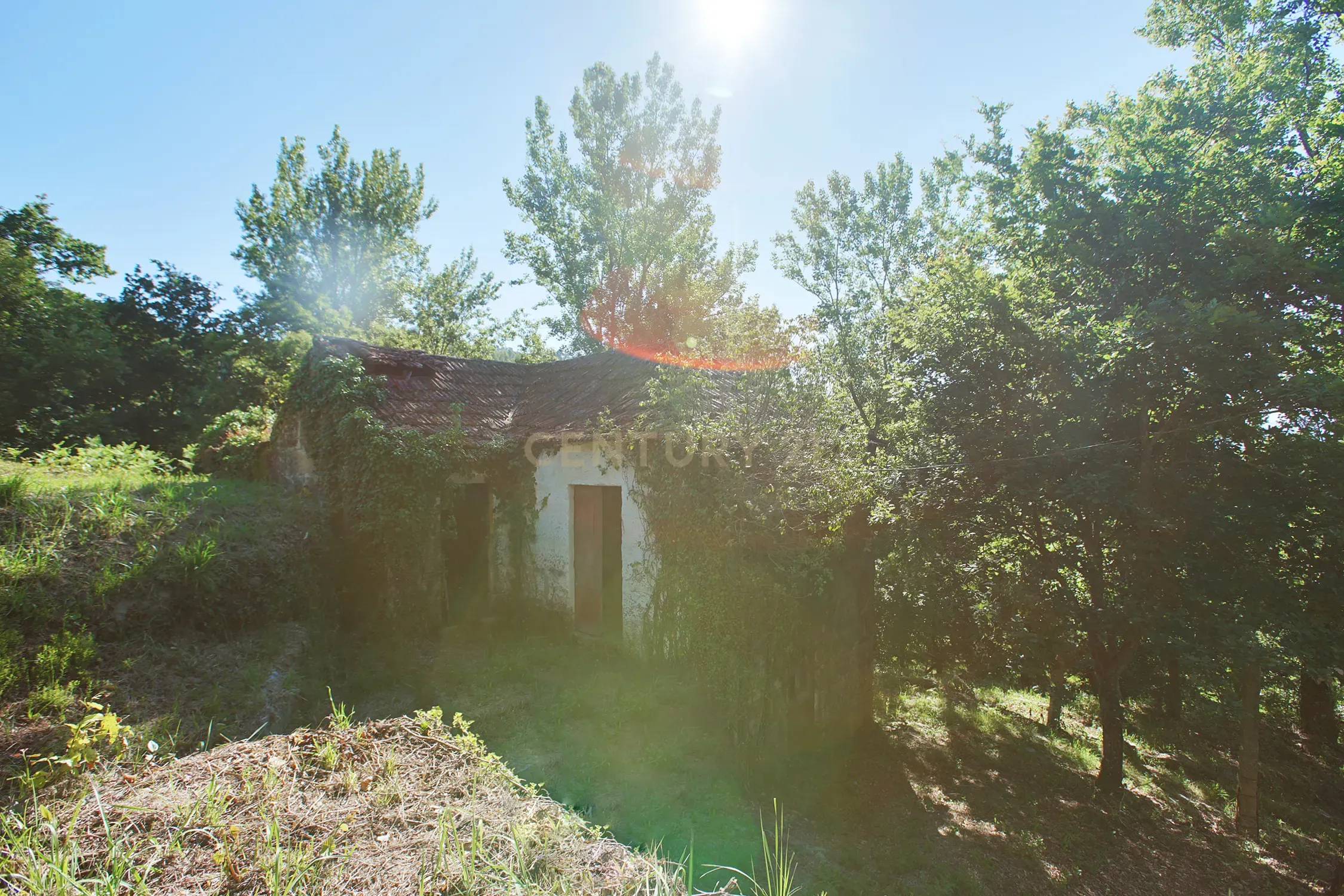 Quinta com 2 casas para restauro em Sande Marco de Canaveses - Image 23