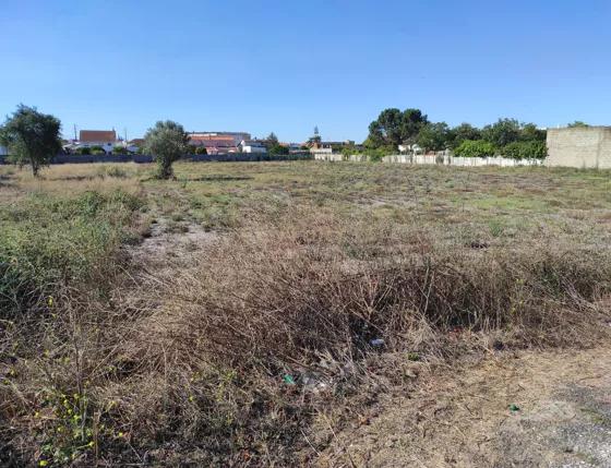 Terreno no Casal Galego, Marinha Grande - Image 12