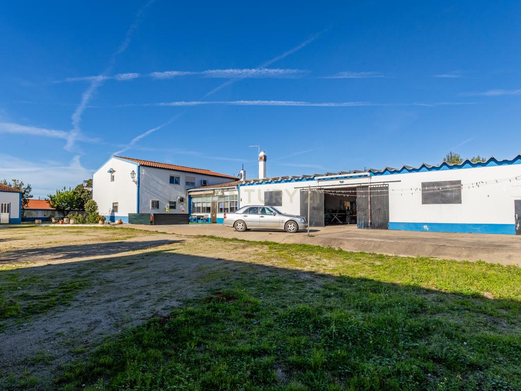 Quinta com 25.800M2 com moradia T6 em Casével, Santarém. - Image 55