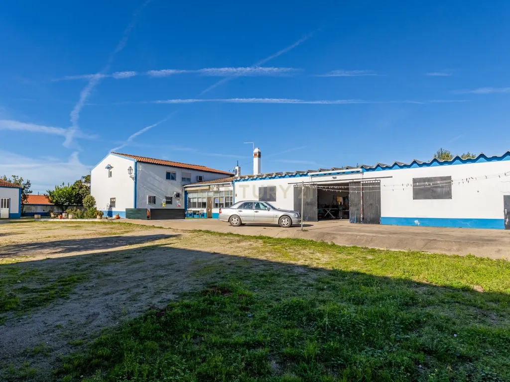 Quinta com 25.800M2 com moradia T6 em Casével, Santarém. - Image 55