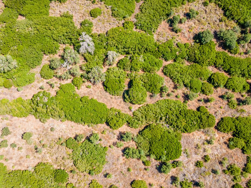 Terreno - Image 12