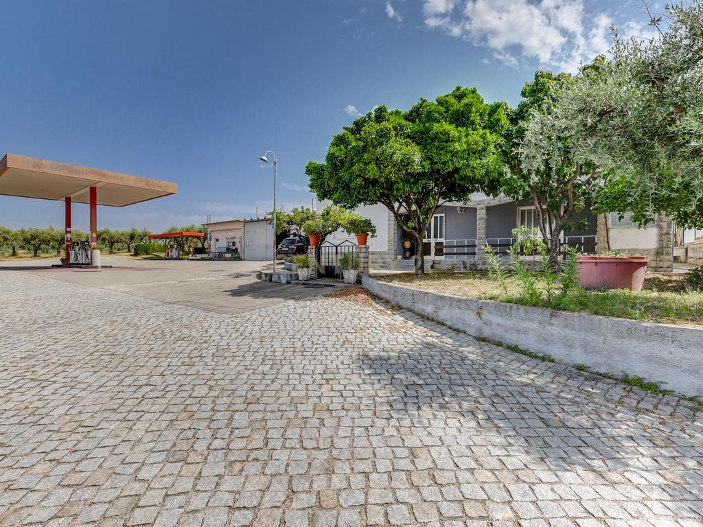 OPORTUNIDADE 360º – Moradia T3 + Posto de Combustível GALP + Terrenos (36 000 m²) - Image 45