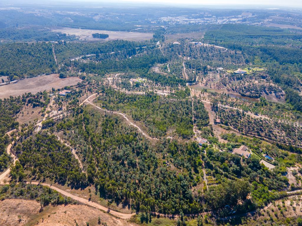 🌿 Terreno Exclusivo com 8 ha em São Teotónio — Oportunidade Única no Coração da Costa Vicentina 🌊 - Image 5