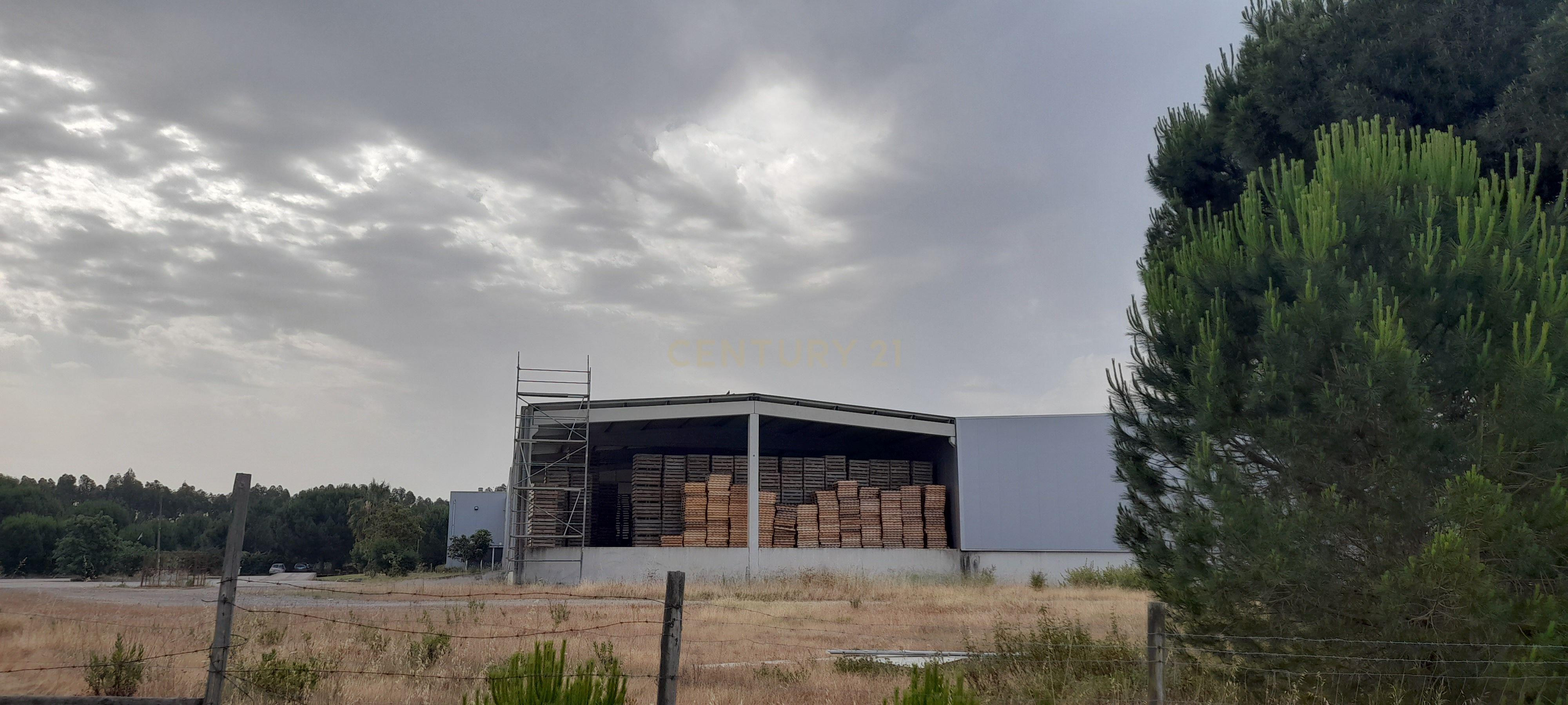 Armazém industrial em Pegões, Montijo - Image 3