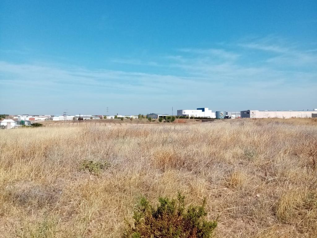 undefined - Image 8