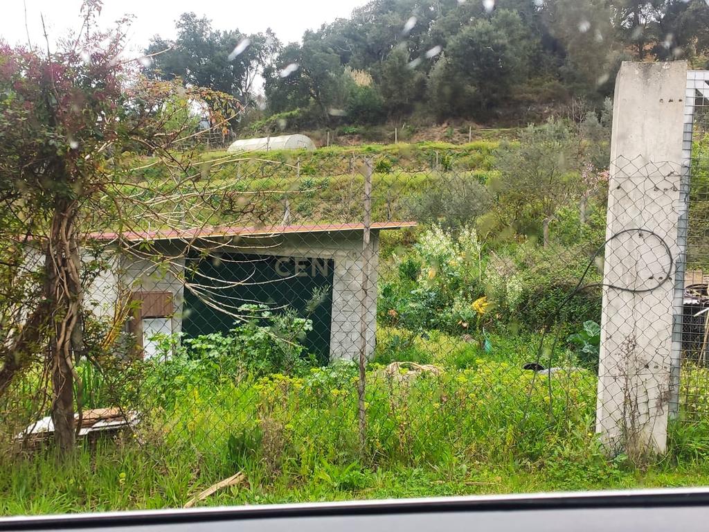 Casa com terreno de construção e agrícola perto do rio Douro em Granja, S. Tomé de Covelas, Baião, Porto - Image 18