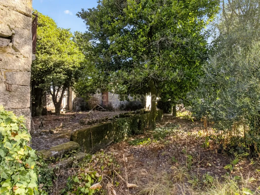 Quinta de Verim – 22.000 m² de história, natureza e potencial - Image 36