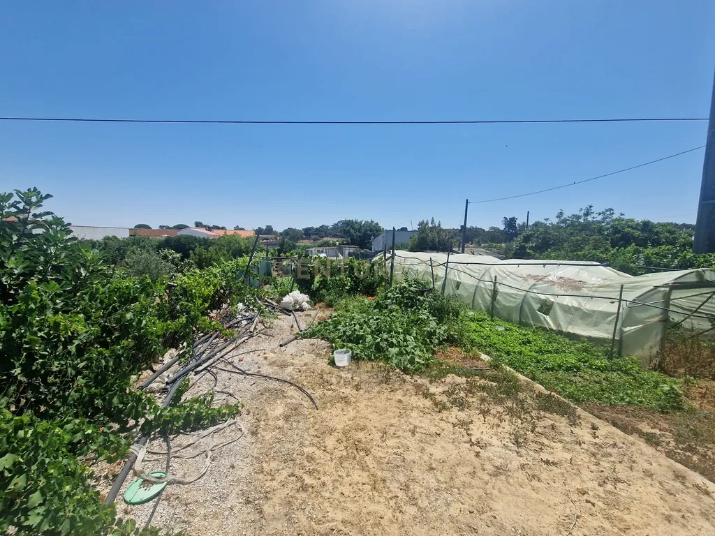 Terreno à venda em Gâmbia Pontes Alto da Guerra, Setúbal - Image 15