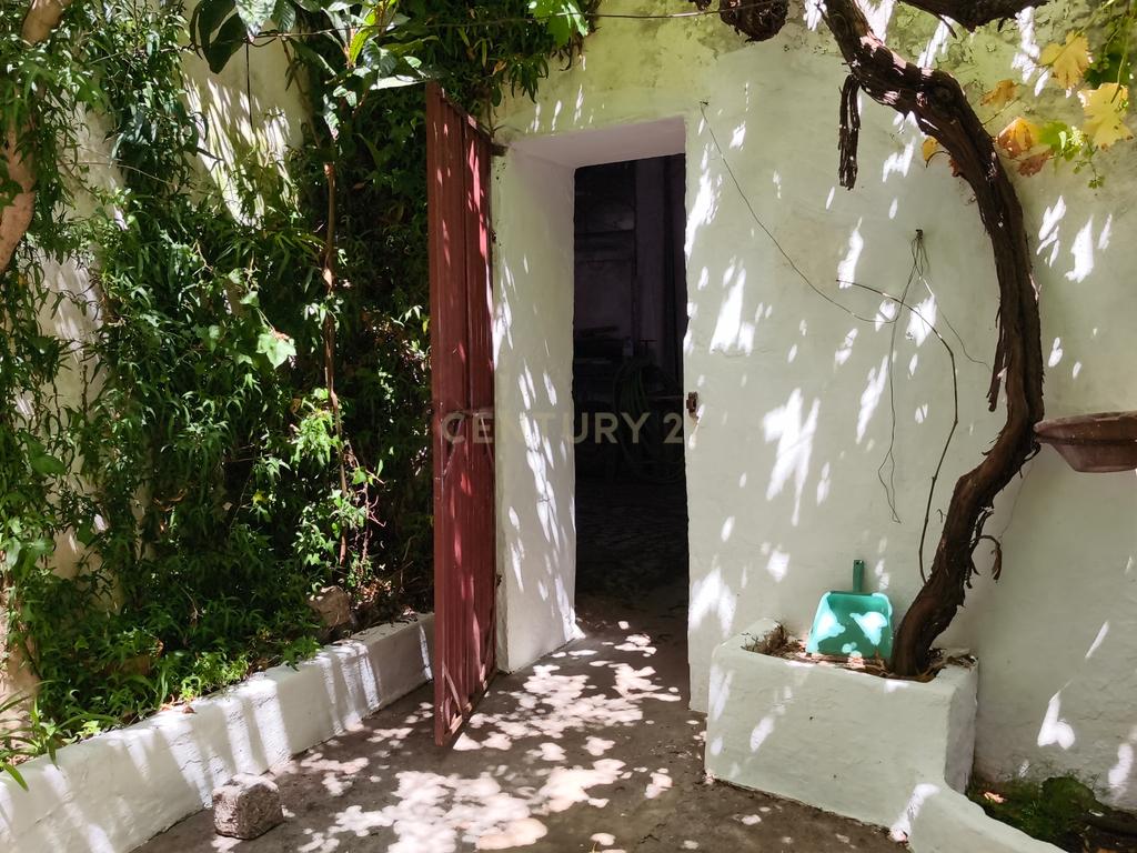 Oportunidade Única em Pias: Loja e Casão (Junto ao Restaurante "O Adro") - Image 30