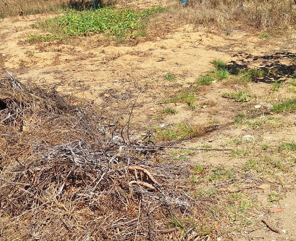 Lote de Terreno - Charneca da Caparica – Excelente Localização  - Image 8