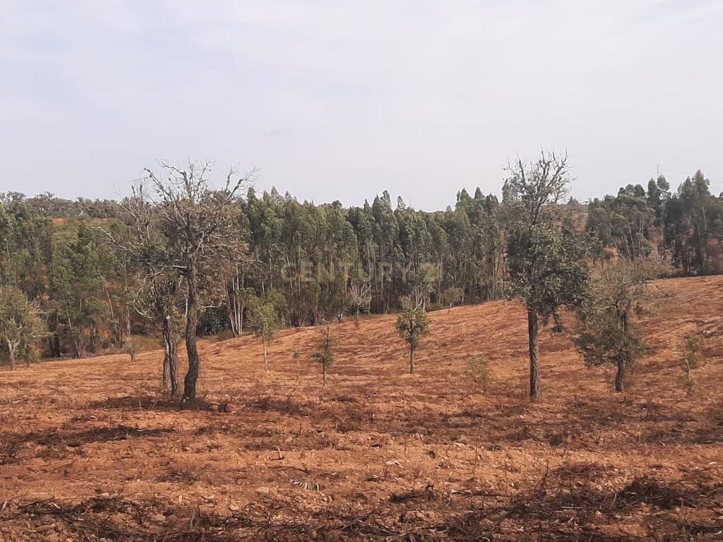 Terreno Rústico com Potencial Agrícola e de Lazer, Ourique, Beja - Image 3