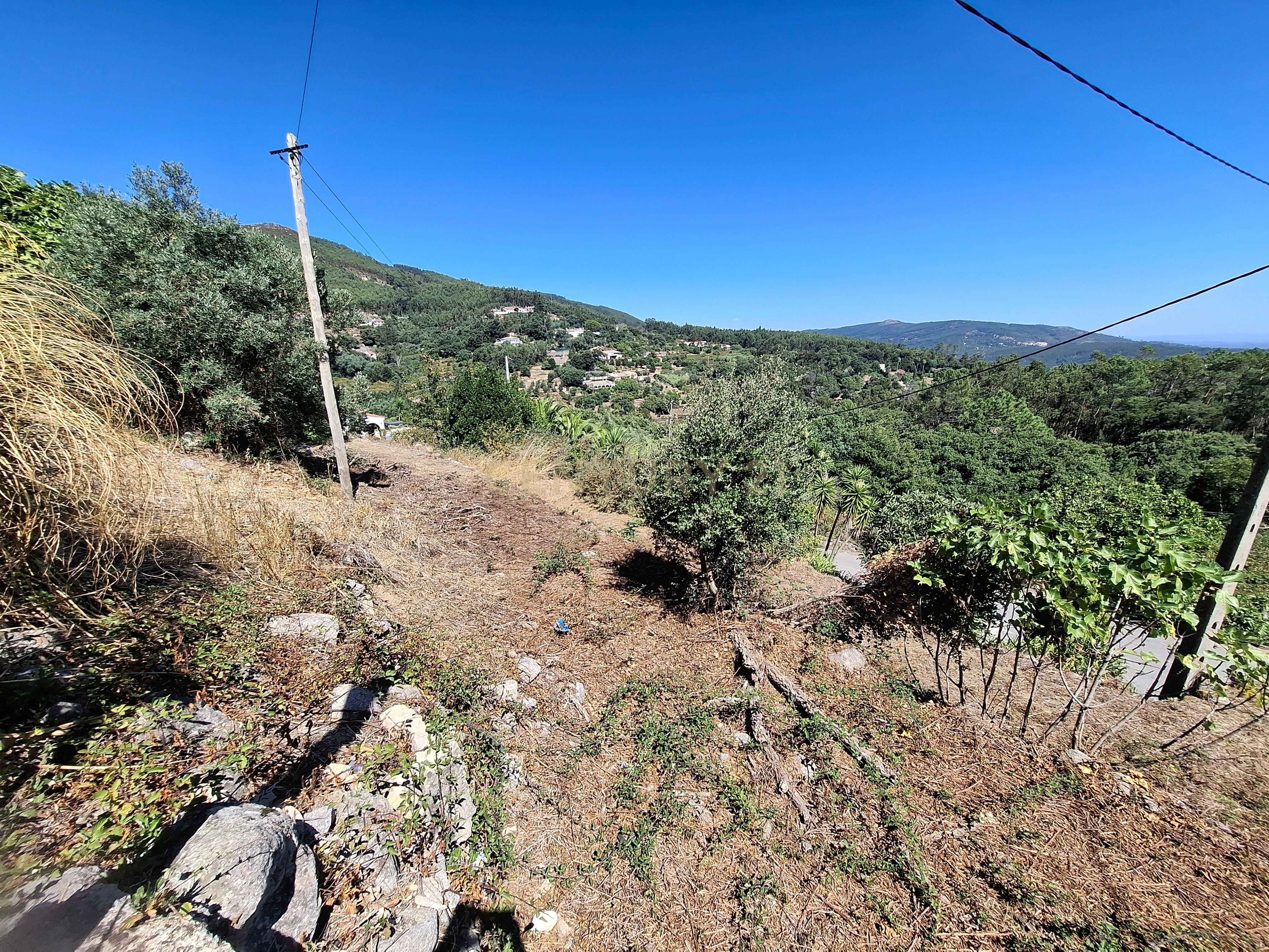 Fotografia 4 de OPORTUNIDADE - REFÚGIO PERFEITO EM MONCHIQUE: QUINTA COM 1,2 HECTARES COM VISTA DESLUMBRANTE PARA SUL E COM UM POTENCIAL UNICO.
