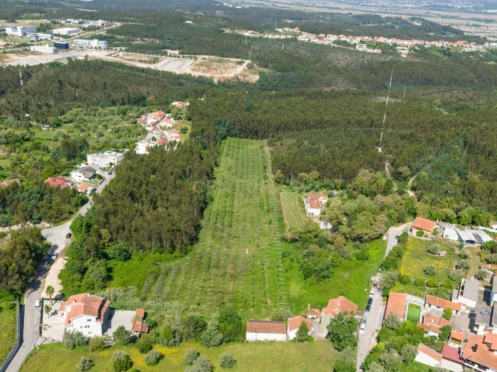 Quinta com 8 hectares com potencial para construção – Antanhol - Coimbra - Image 12