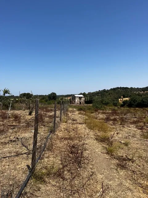 Quinta localizada em Amieira do Tejo, em Nisa, distrito de Portalegre - Image 23