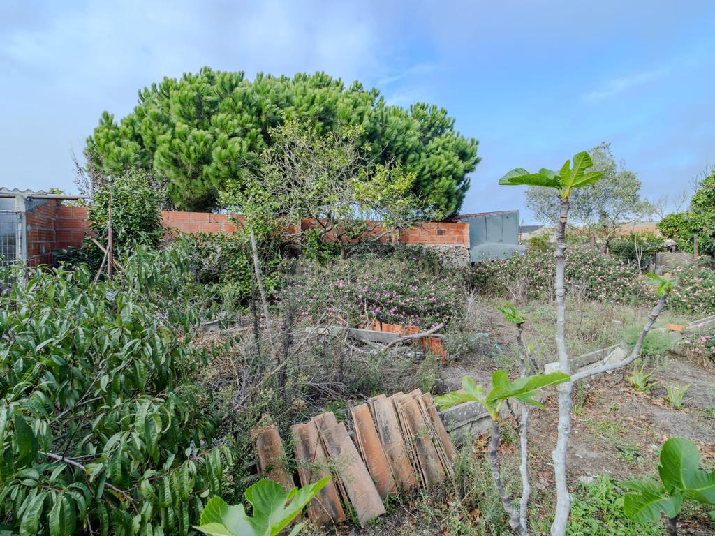 Moradia para Reconstrução no Centro de Vieira de Leiria - Image 7