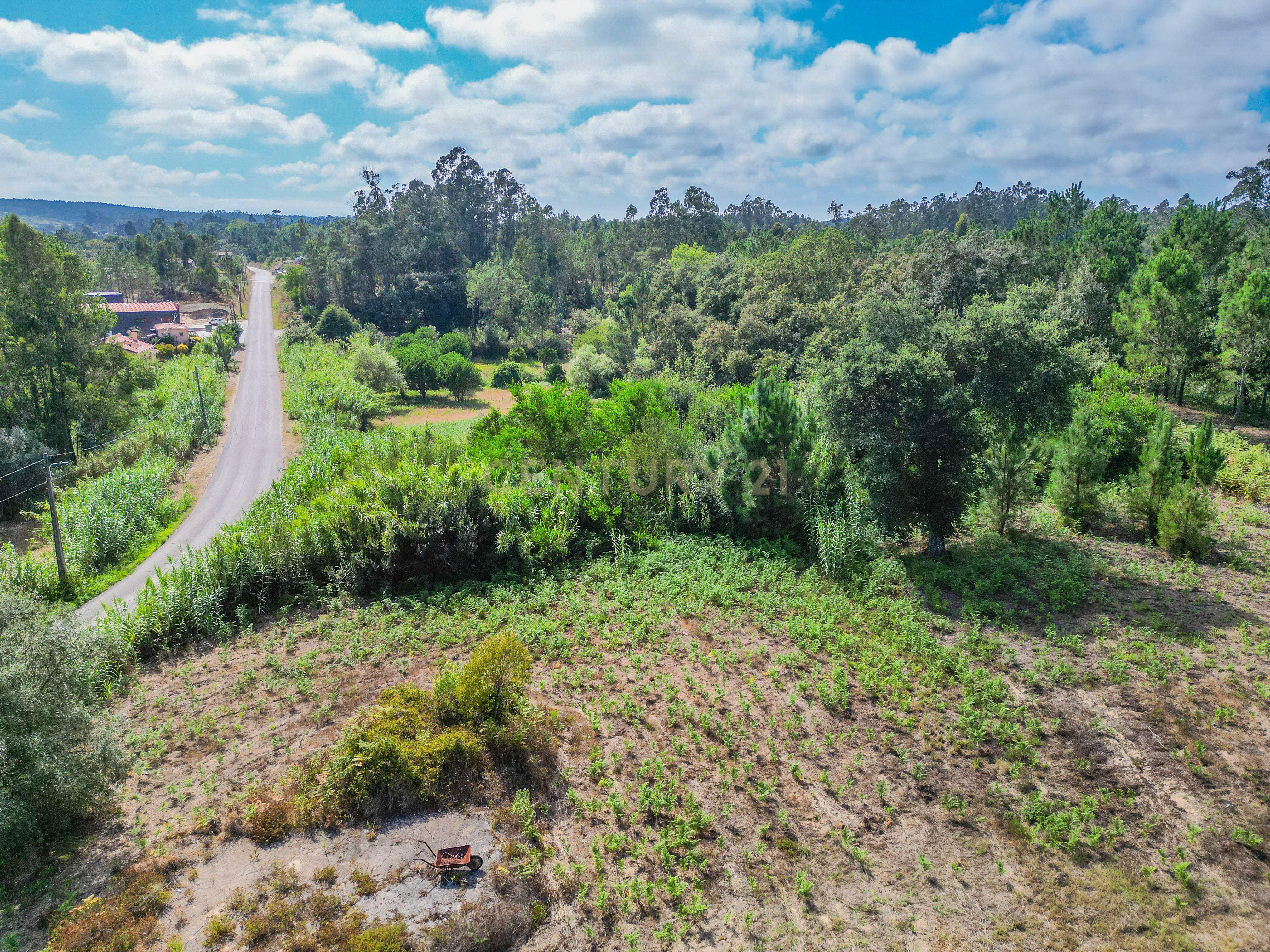 Fotografia 2 de Conjunto de terrenos com cerca de 1.690 m² e potencial construtivo em Costeira, Alhadas – Figueira da Foz