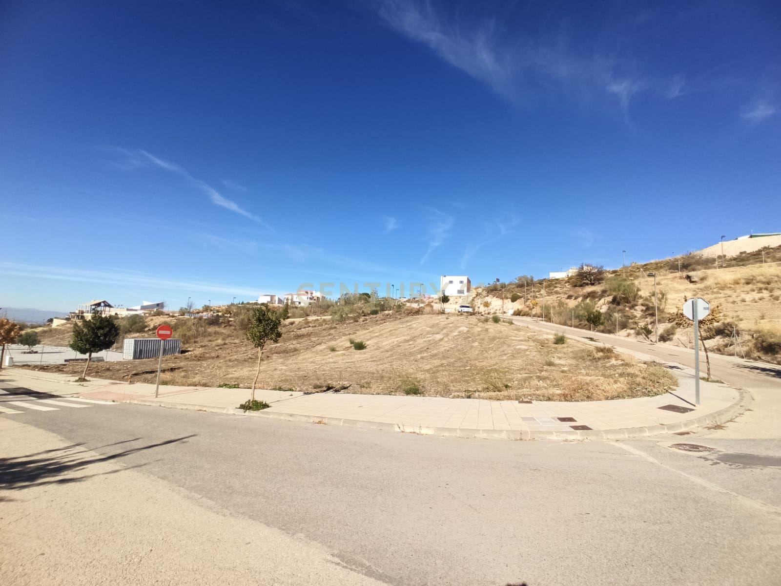 undefined - Image 4