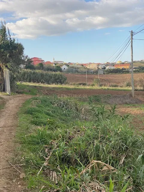 Terreno Rústico para Venda com 4.600m² na Atalaia – Lourinhã - Image 1