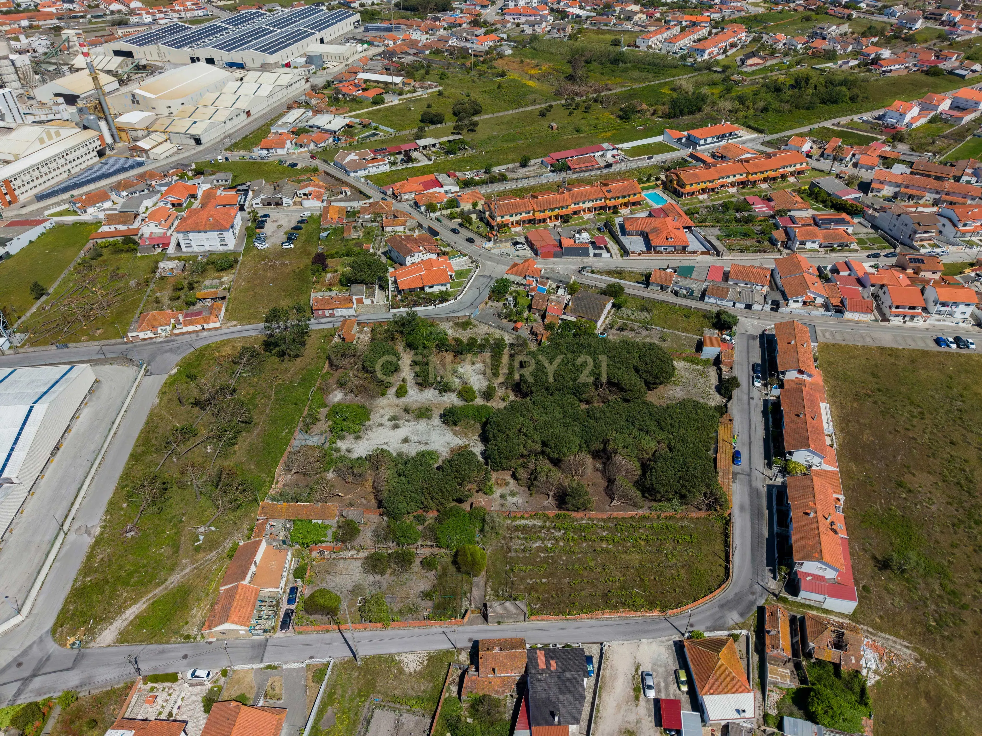Fotografia 4 de Terreno com potencial de desenvolvimento urbanístico | 6.803 m² | Comeira – Marinha Grande