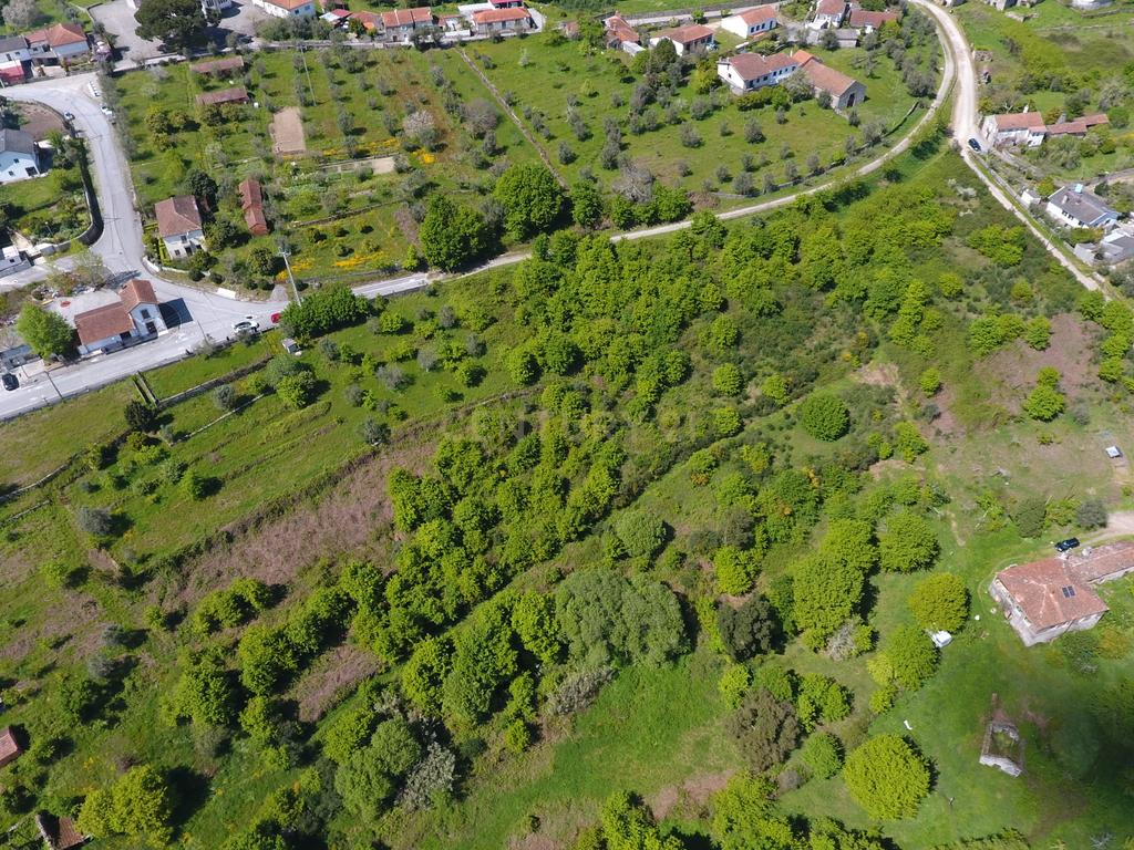 Terreno com vista deslumbrante para a Serra do Caramulo, junto à Estação de Moçâmedes e ciclovia, em Vouzela - Image 4
