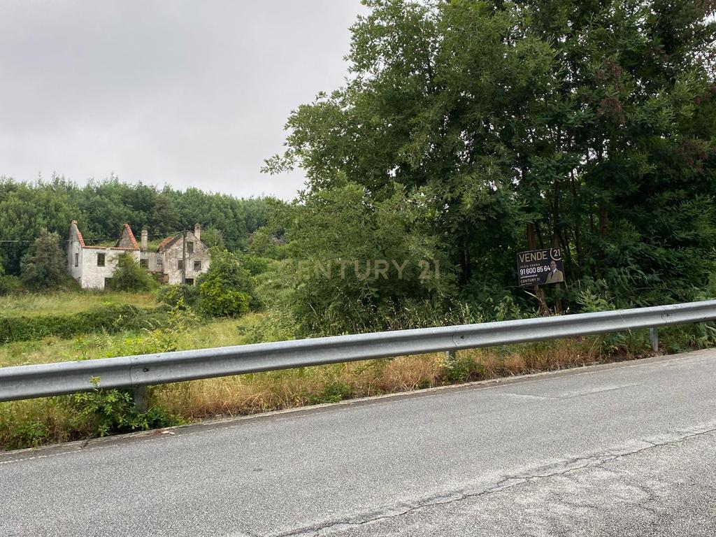 Quinta com Ruína - Oportunidade de Negócio - Image 21