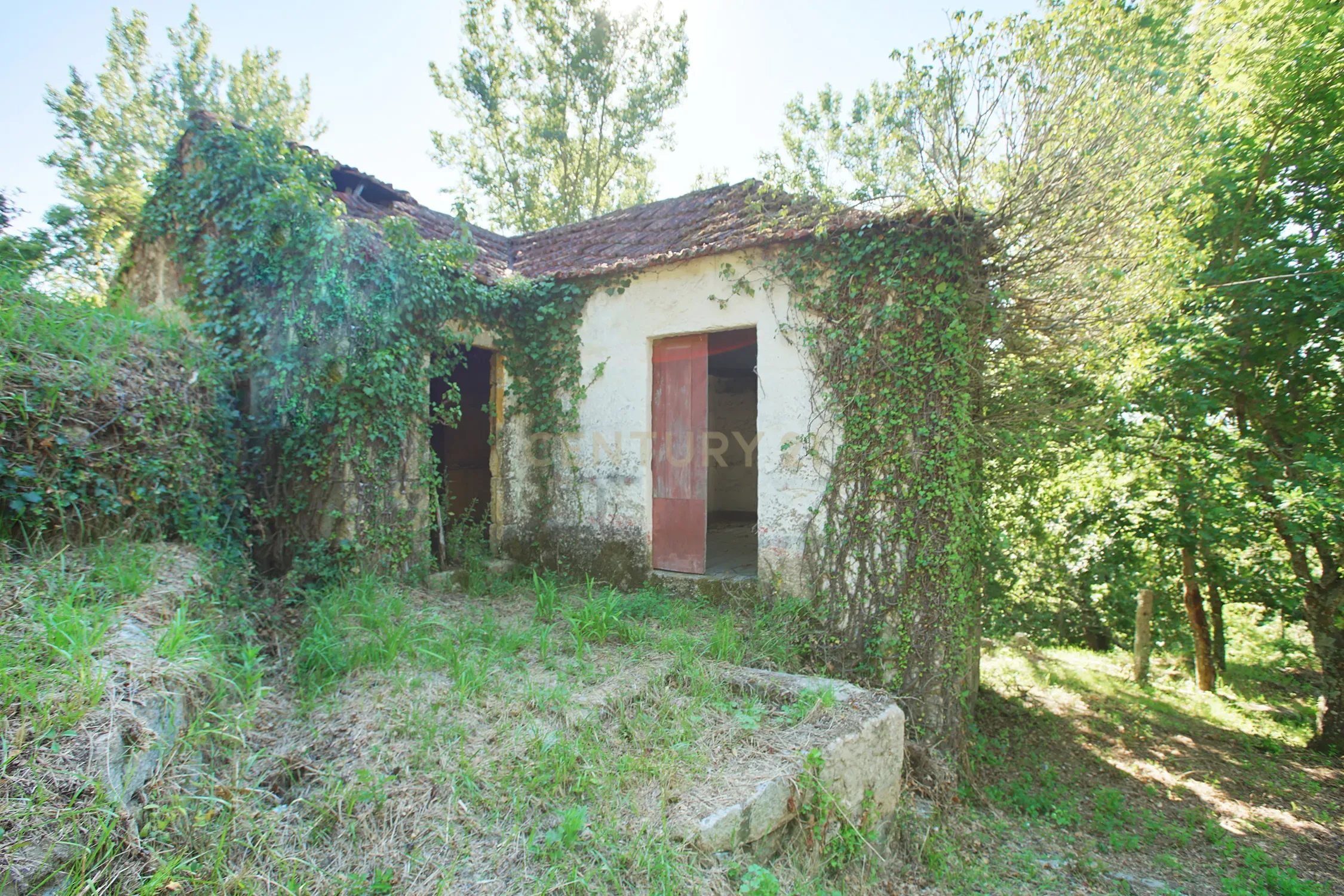Quinta com 2 casas para restauro em Sande Marco de Canaveses - Image 4