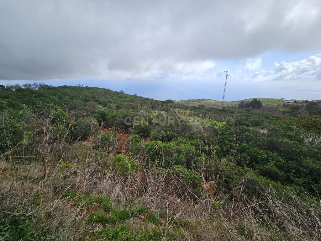 undefined - Image 5