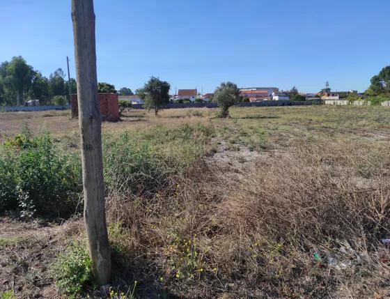Terreno no Casal Galego, Marinha Grande - Image 5