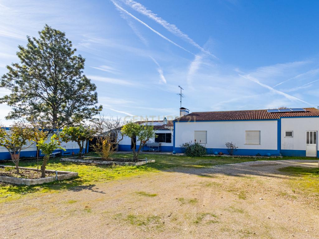Quinta com 25.800M2 com moradia T6 em Casével, Santarém. - Image 21